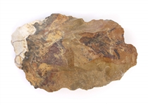 CARVED LITHIC HAND TOOLS