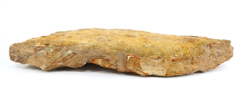 FOSSIL SPECIMENS - UNSPECIFIED