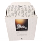 SWAROVSKI CRYSTAL 1995 LION FIGURINE WITH BOX