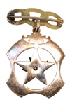 10K YELLOW GOLD I.O.O.F. DOVE & OLIVE BRANCH PIN
